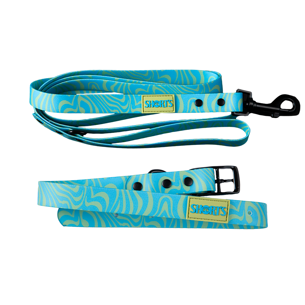 Weatherproof Pet Leash & Collar