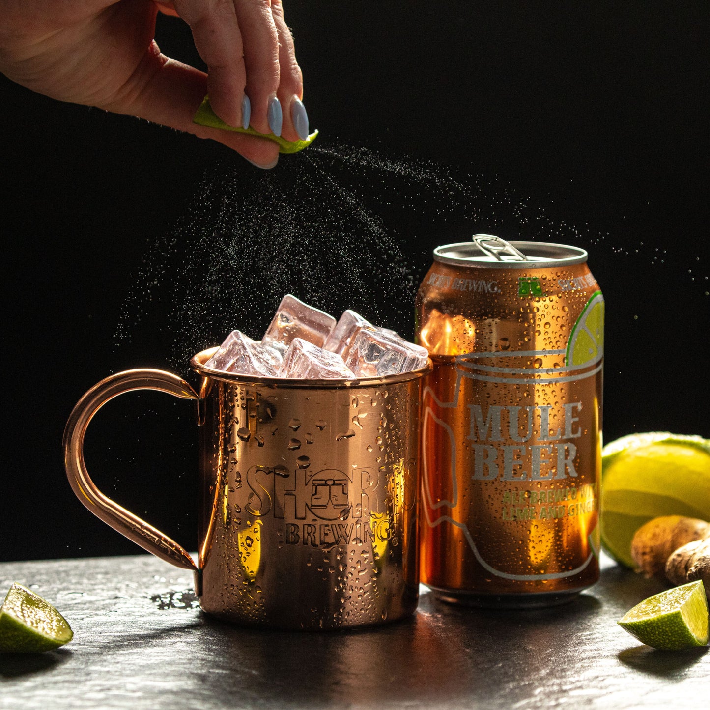 SBC Copper Mugs